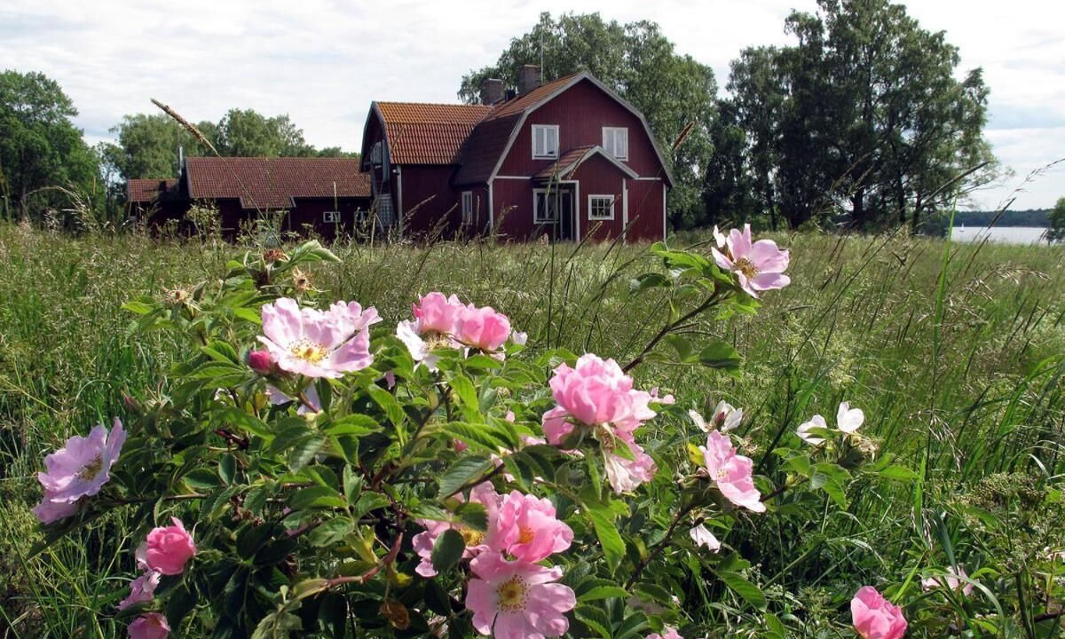 Photo of Outdoor in Norrtalje Municipality
