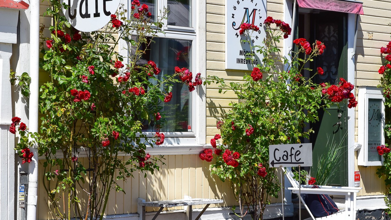 Photo of Outdoor in Stora Ror