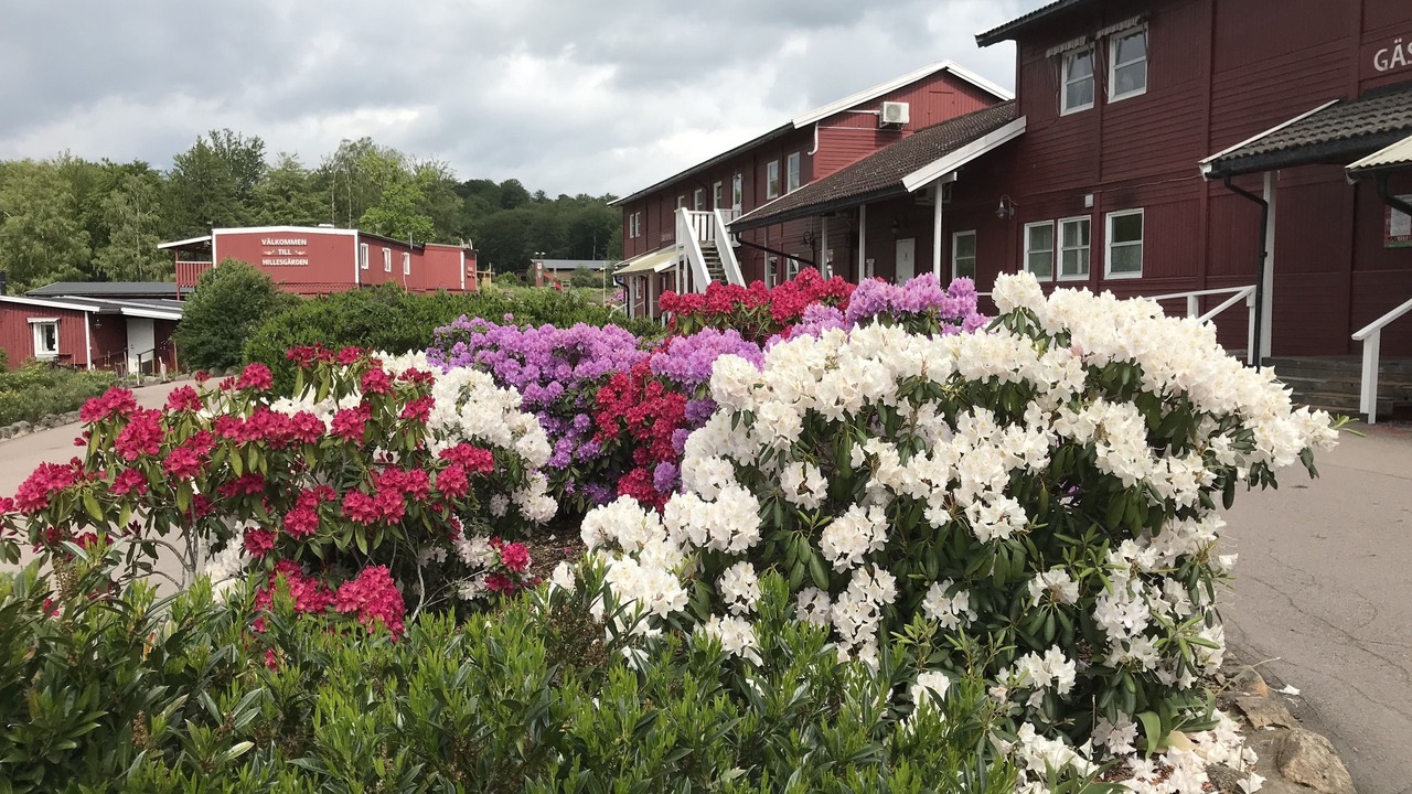 Photo of Outdoor in Klippan