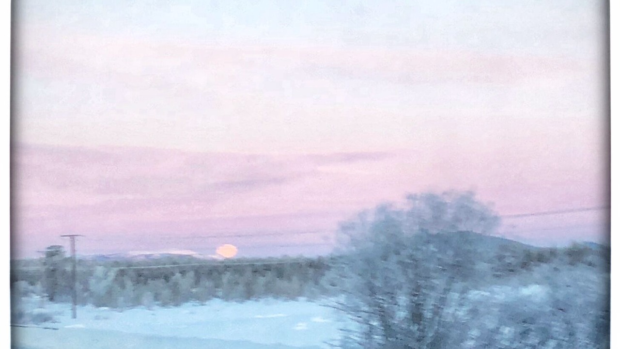 Photo of Others in Arjeplog