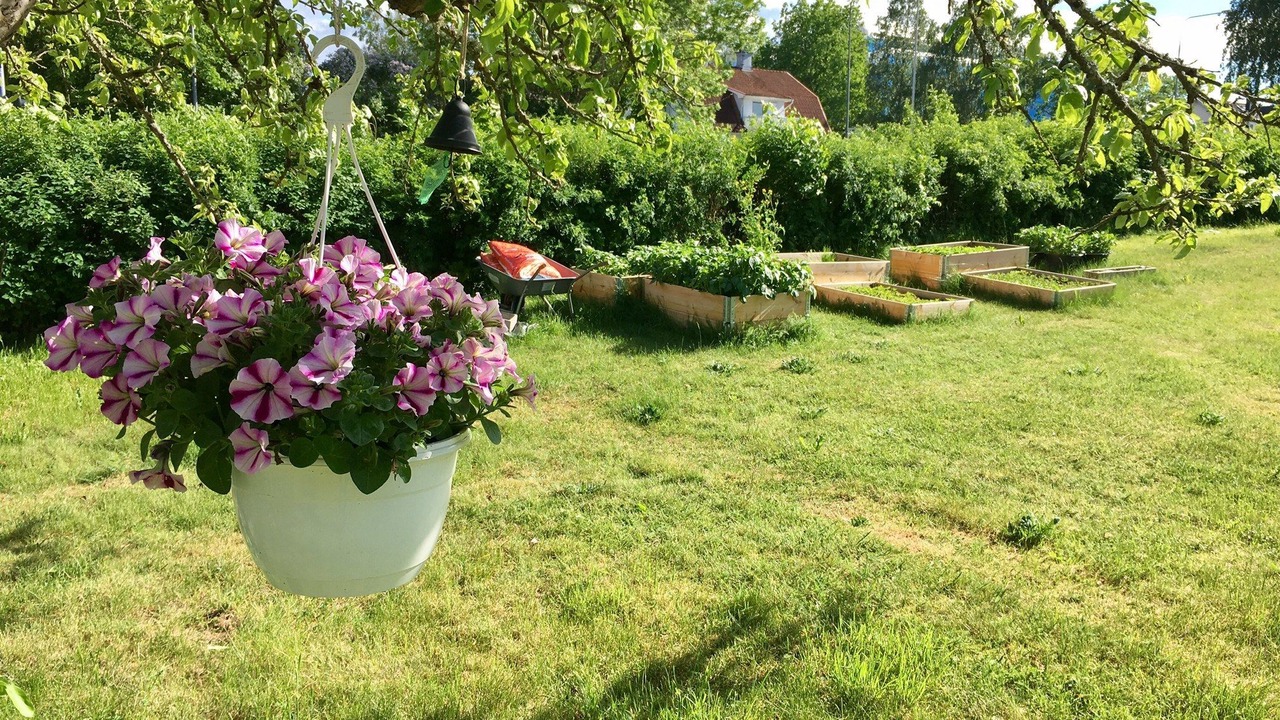 Photo of Outdoor in Almsta