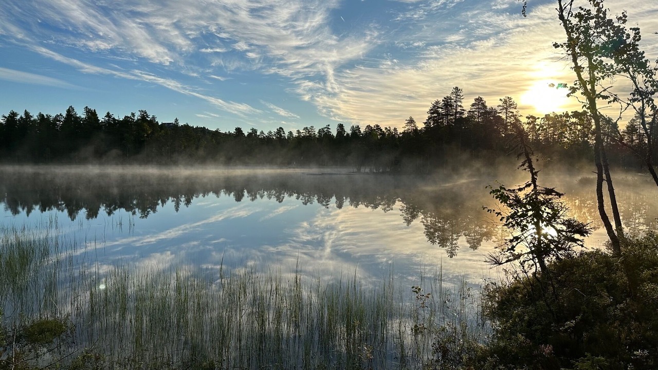 Photo of Outdoor in Fryksas