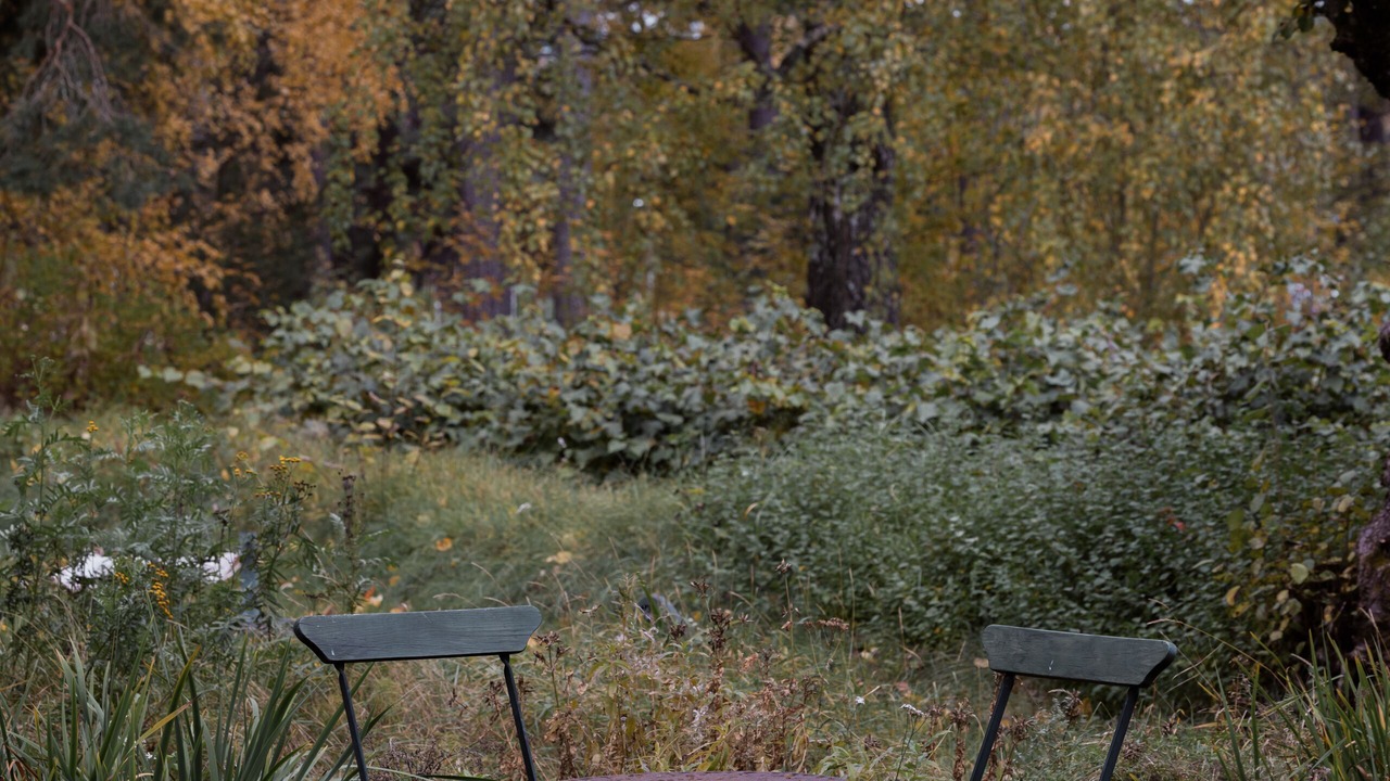Photo of Outdoor in Leksand