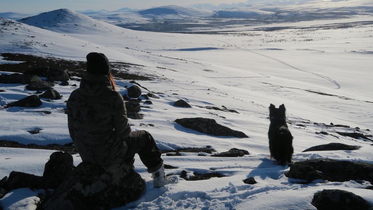 Photo of Others in Kiruna
