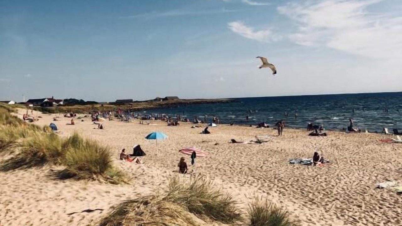 Photo of Others in Falkenberg