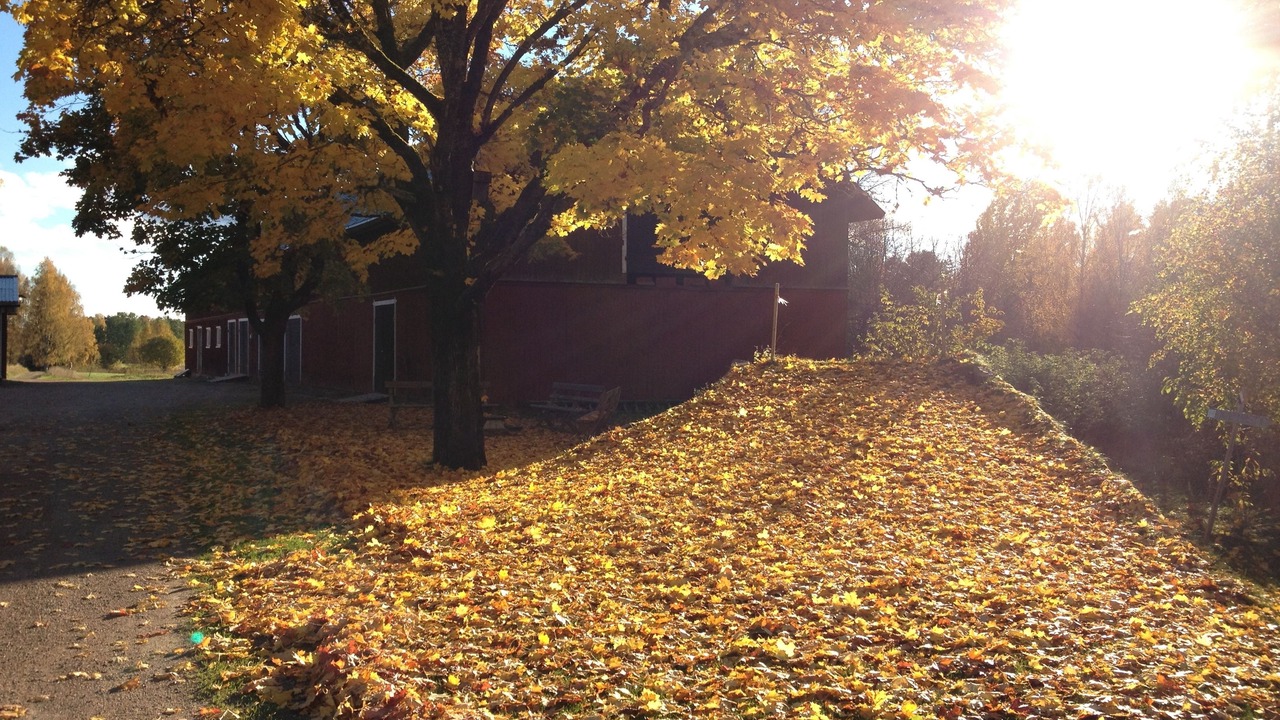 Photo of Outdoor in Torsby
