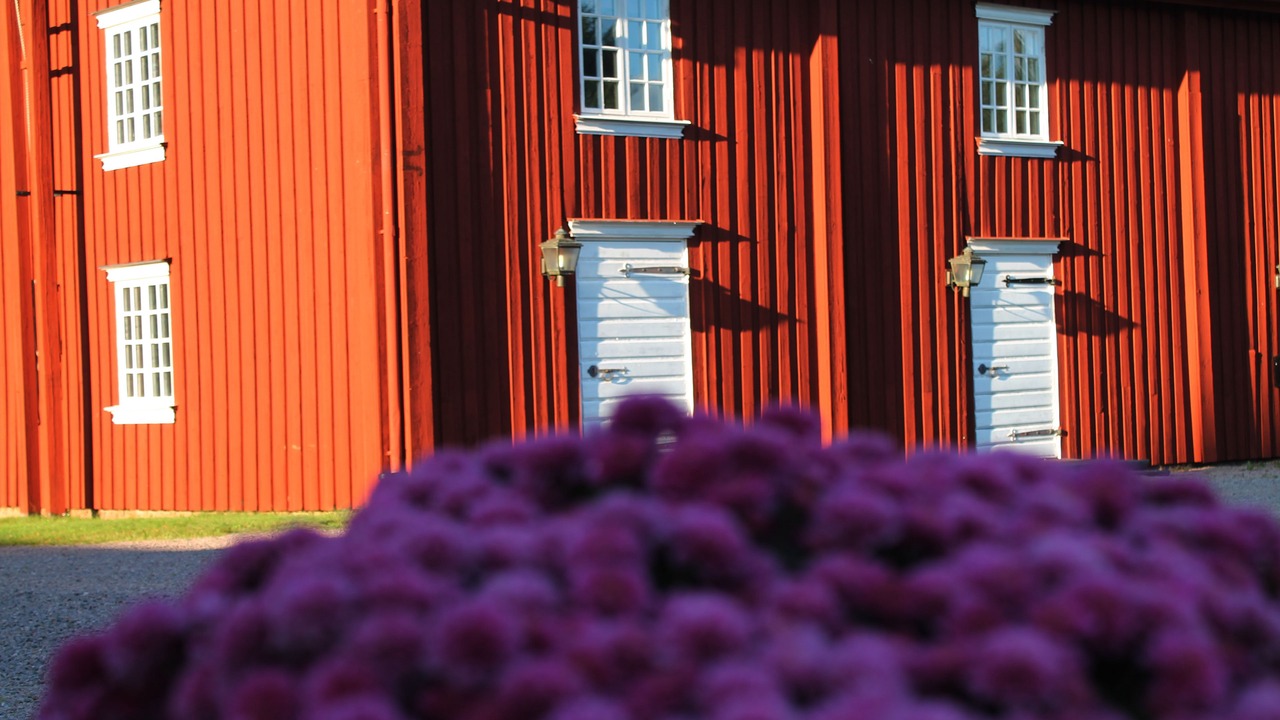 Photo of Outdoor in Torsby