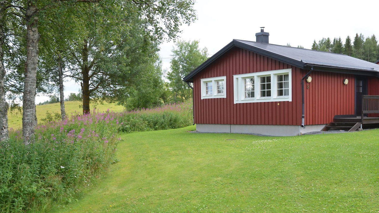 Photo of Outdoor in Hallen