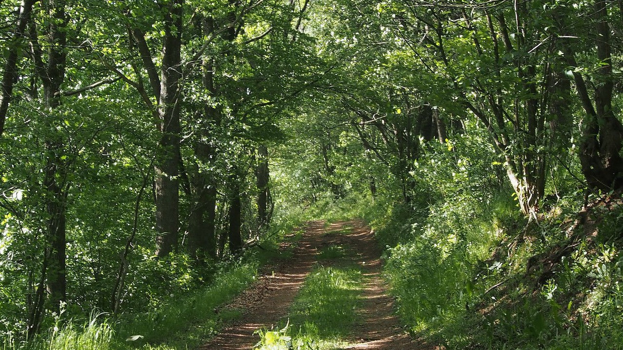 Photo of Outdoor in Lovestad