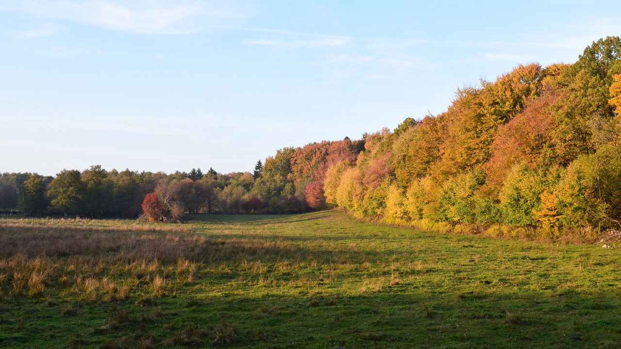 Photo of Outdoor in Lovestad