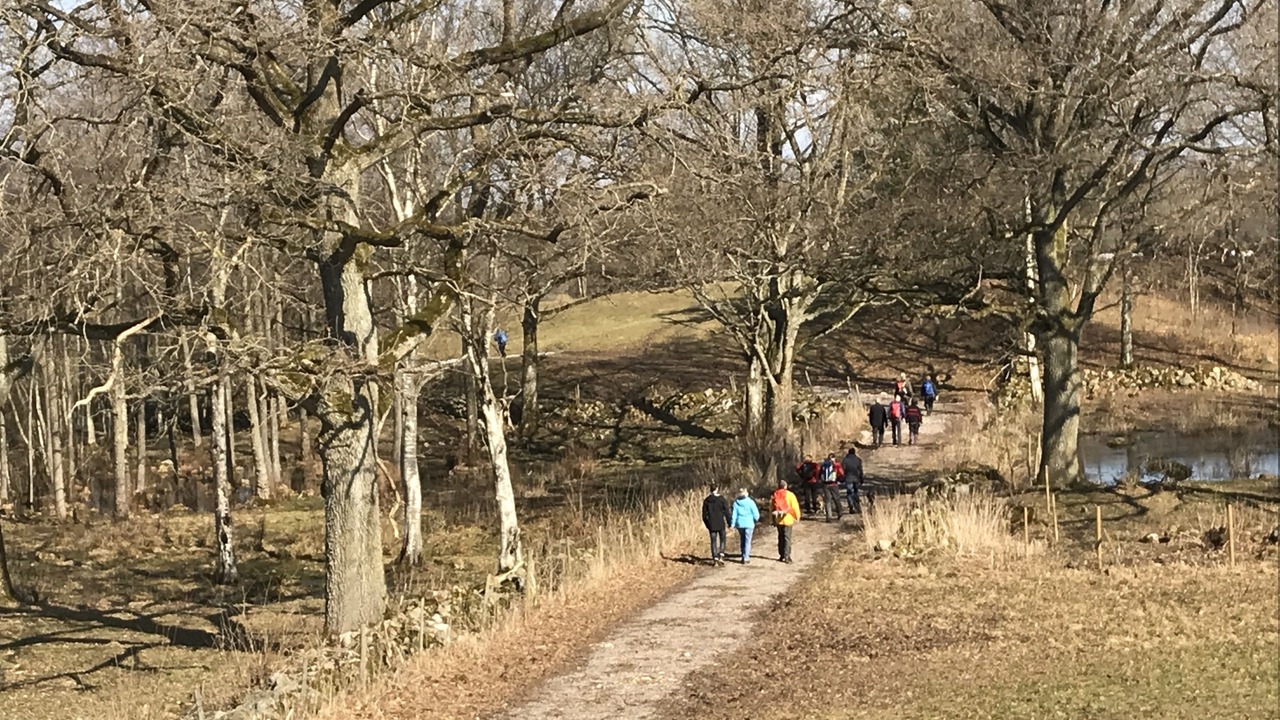 Photo of Outdoor in Lovestad