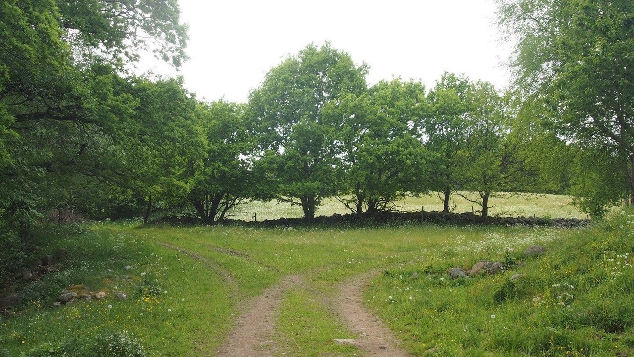 Photo of Outdoor in Lovestad