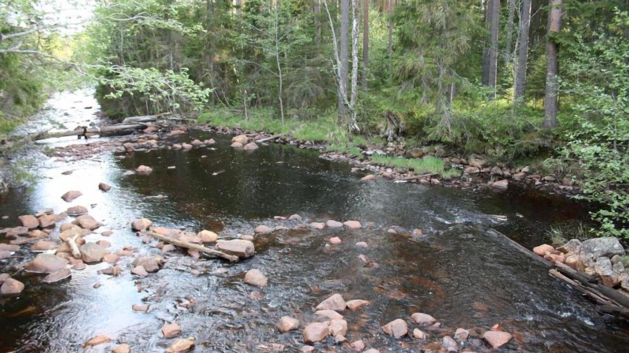 Photo of Outdoor in Fredriksberg