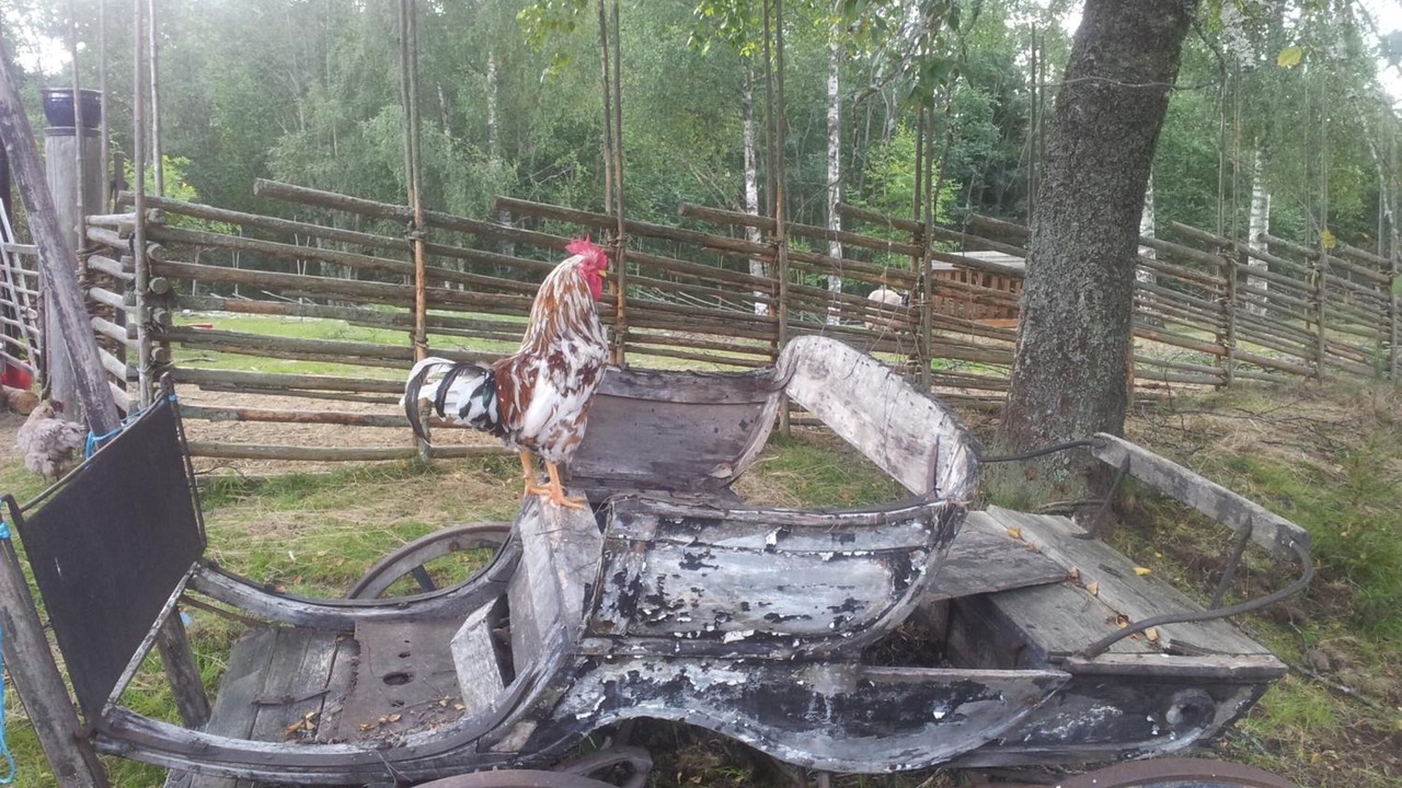 Photo of Outdoor in Fredriksberg