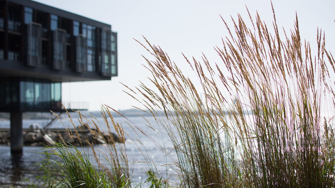 Photo of Outdoor in Larvik