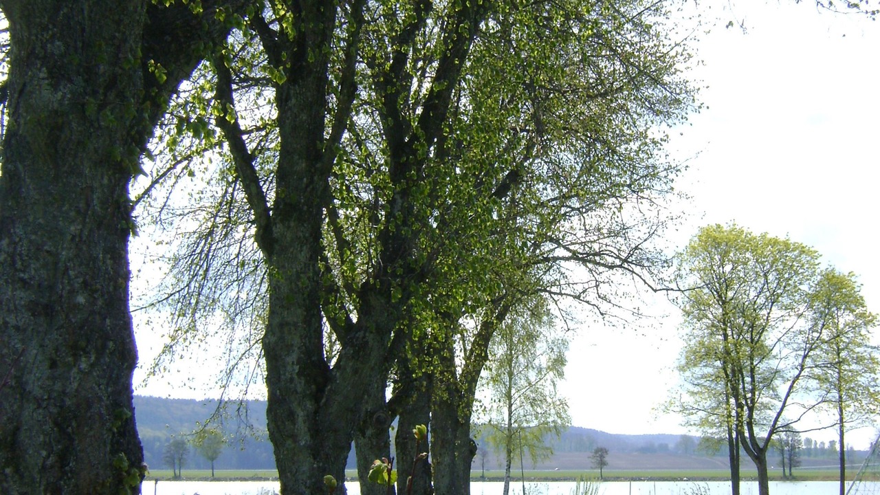 Photo of Others in Vanersborg