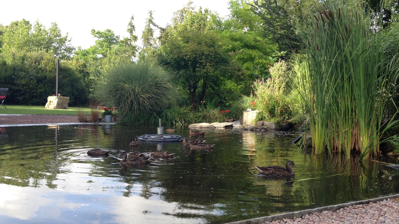 Photo of Outdoor in Simrishamn