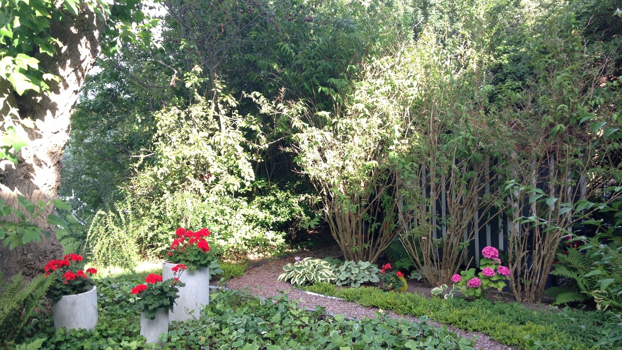 Photo of Outdoor in Simrishamn
