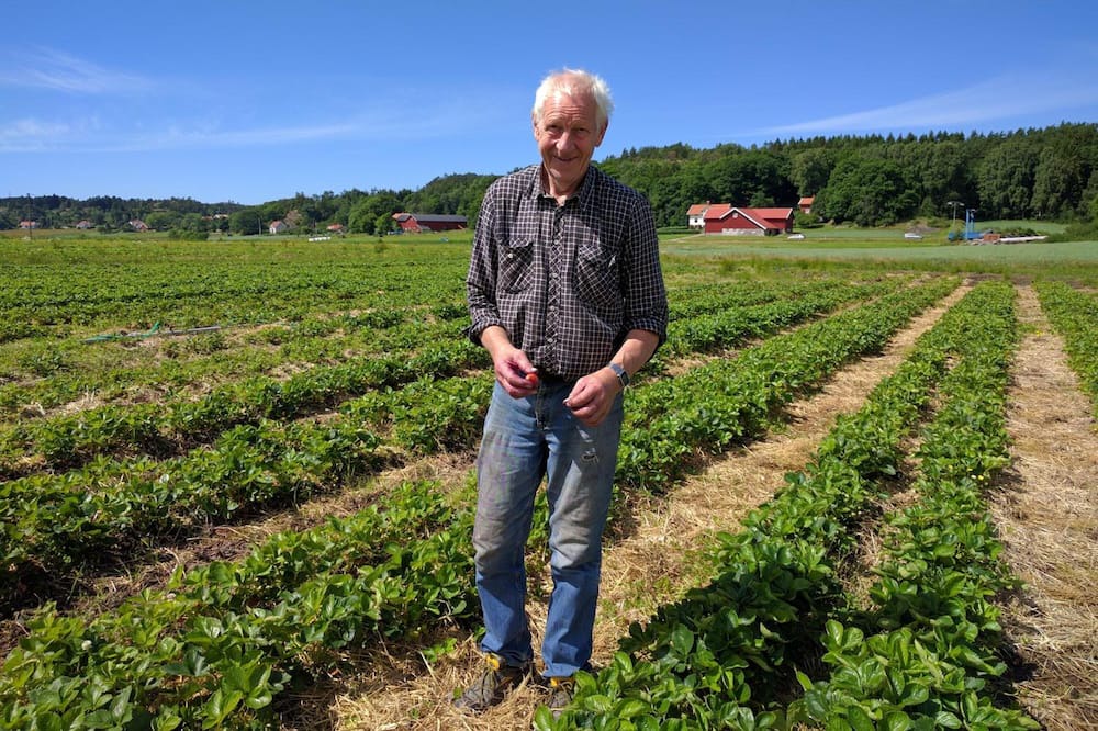 Photo of Outdoor in Fagerfjall