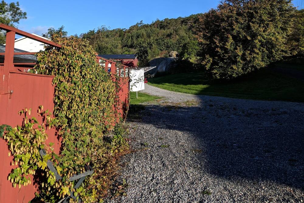 Photo of Others in Fagerfjall