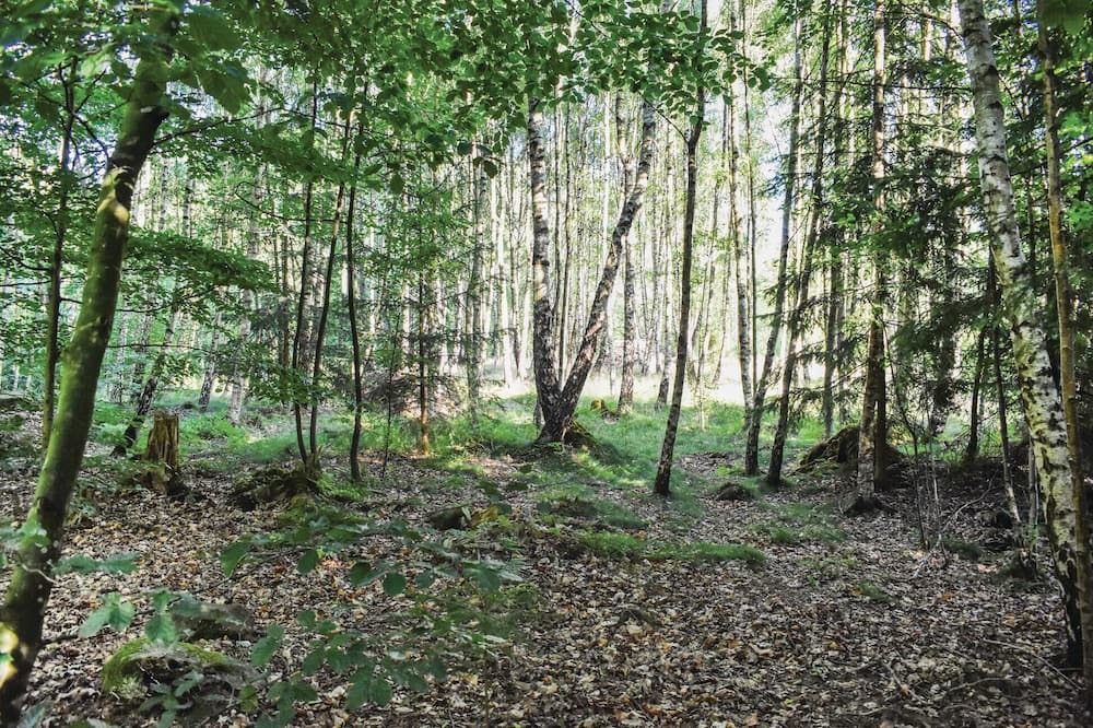 Photo of Others in Tjornarp