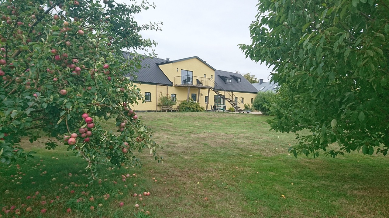 Photo of Outdoor in Brantevik