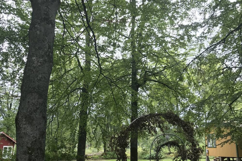Photo of Outdoor in Lidkoping
