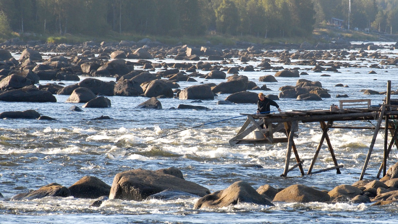 Photo of Others in Haparanda