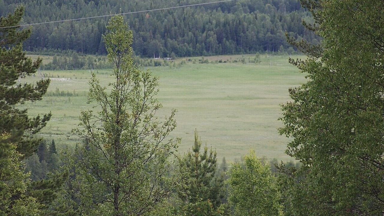 Photo of Others in Glommerstrask