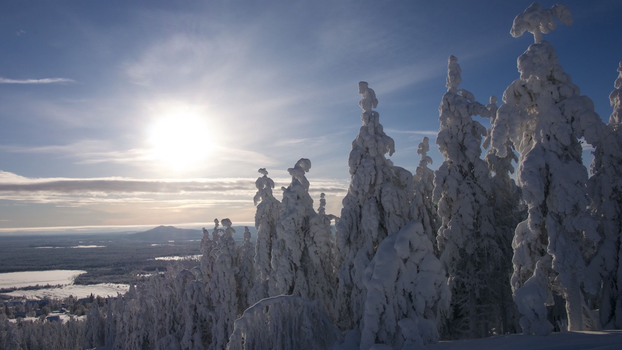 Photo of Others in Glommerstrask