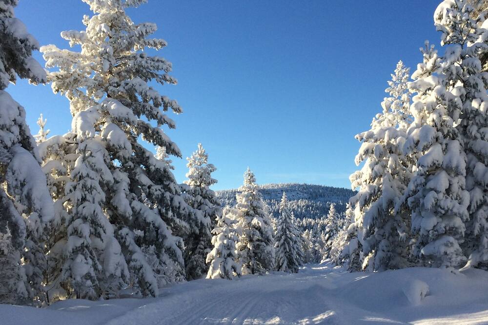 Photo of Others in Kongsberg