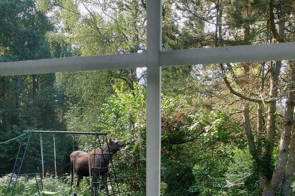 Photo of Outdoor in Dals-Ed N