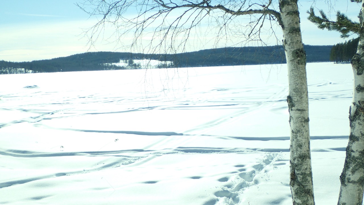 Photo of Others in Appelbo