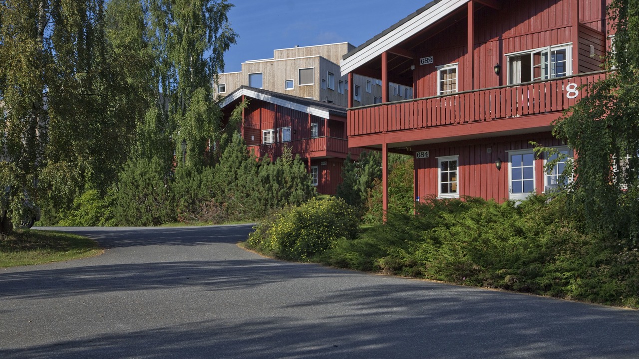 Photo of Outdoor in Lillehammer