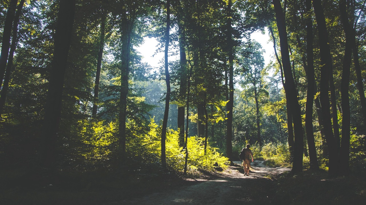 Photo of Outdoor in Grisslehamn