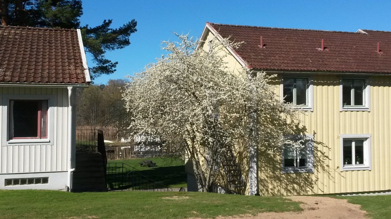 Photo of Outdoor in Ydre Municipality