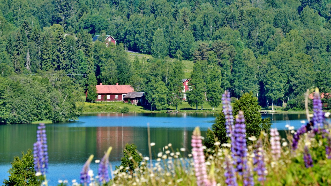 Photo of Outdoor in Sunnemo