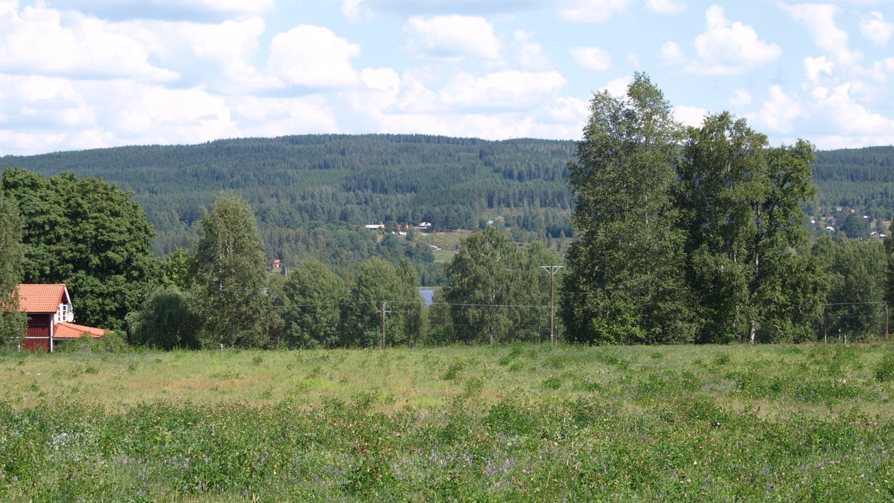 Photo of Outdoor in Sunnemo