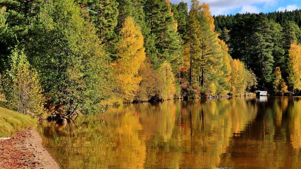 Photo of Outdoor in Sunnemo