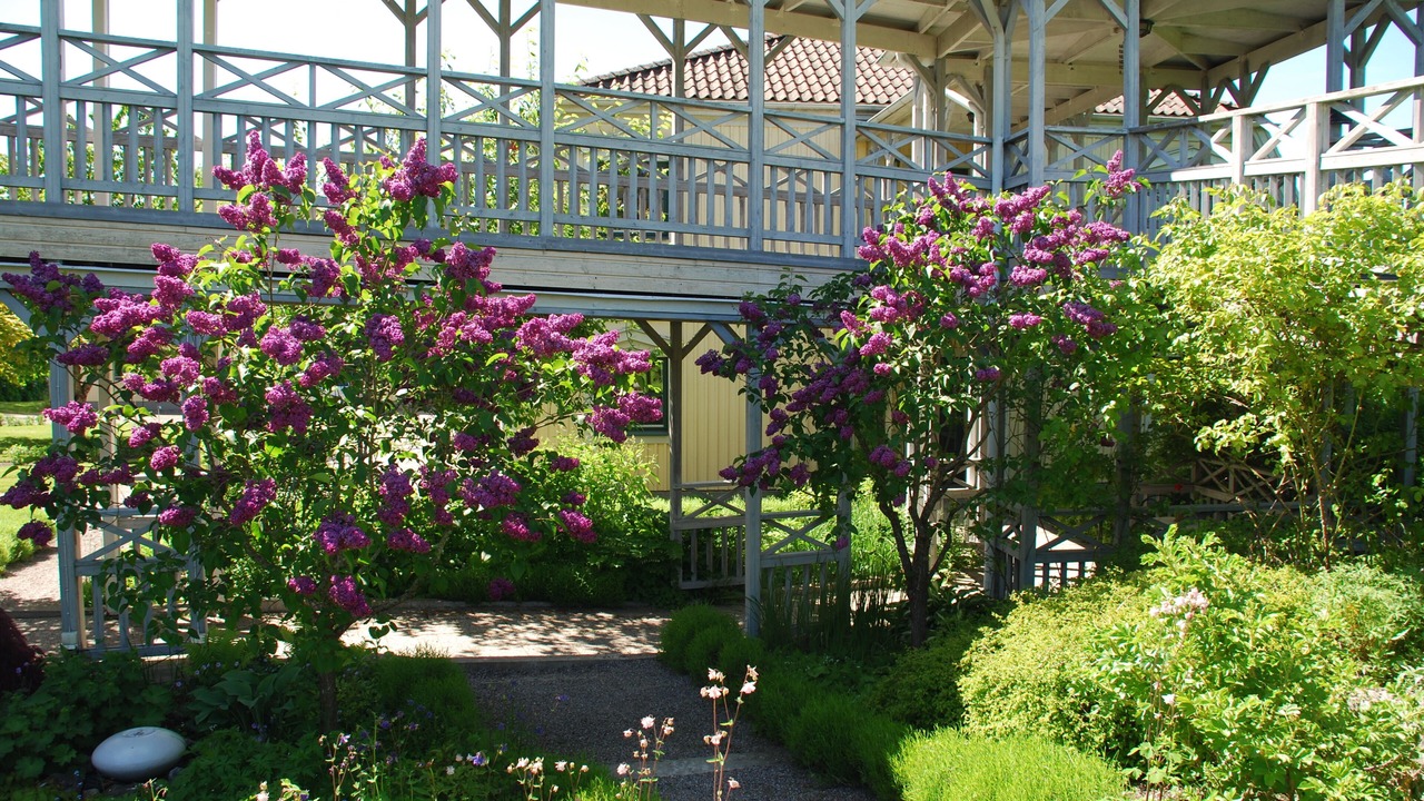 Photo of Outdoor in Morko