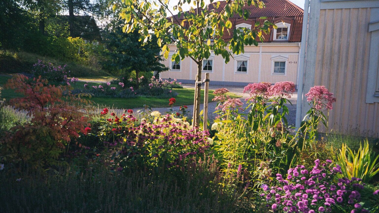 Photo of Outdoor in Morko