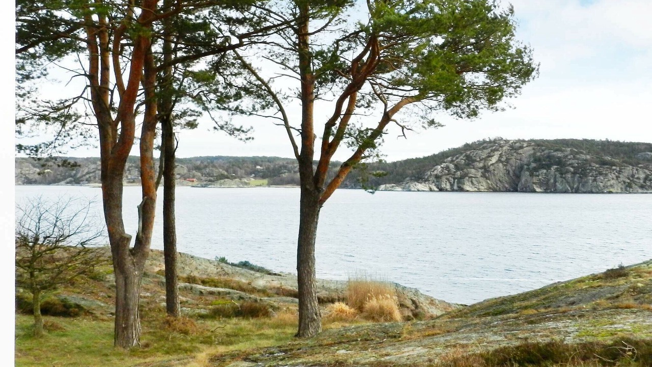 Photo of Others in Torgestad