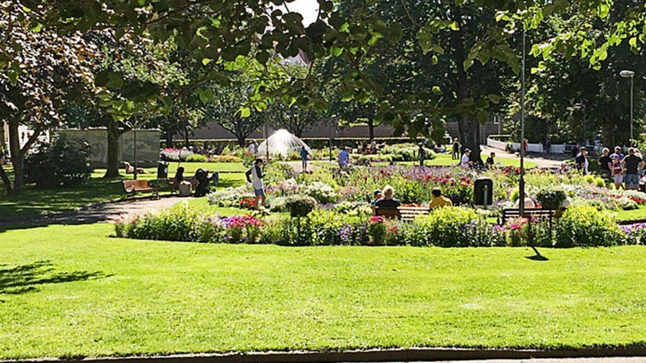 Photo of Outdoor in Torgestad