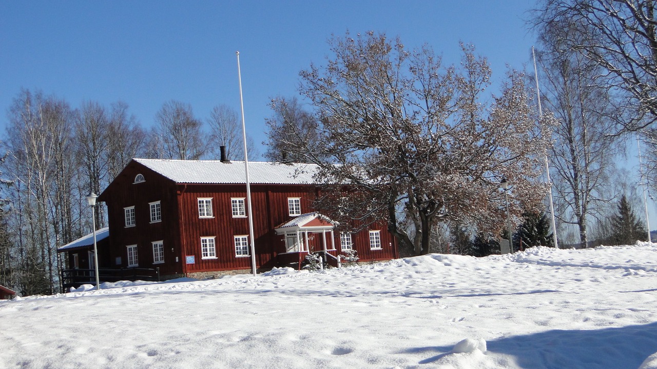 Photo of Outdoor in Sunne
