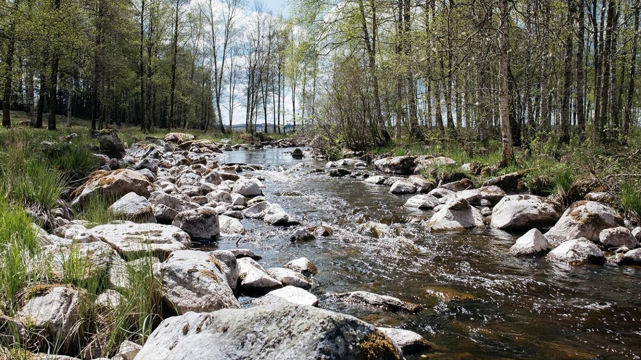 Photo of Outdoor in Mullsjo