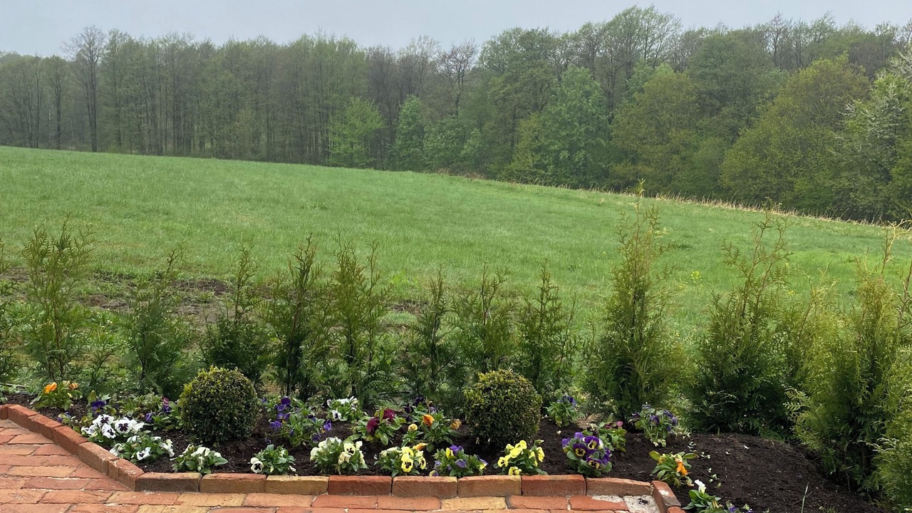 Photo of Outdoor in Laholm
