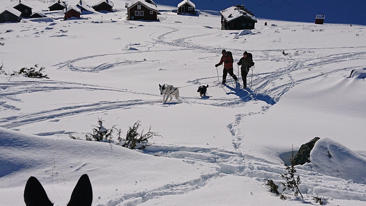 Photo of Others in Ulvik