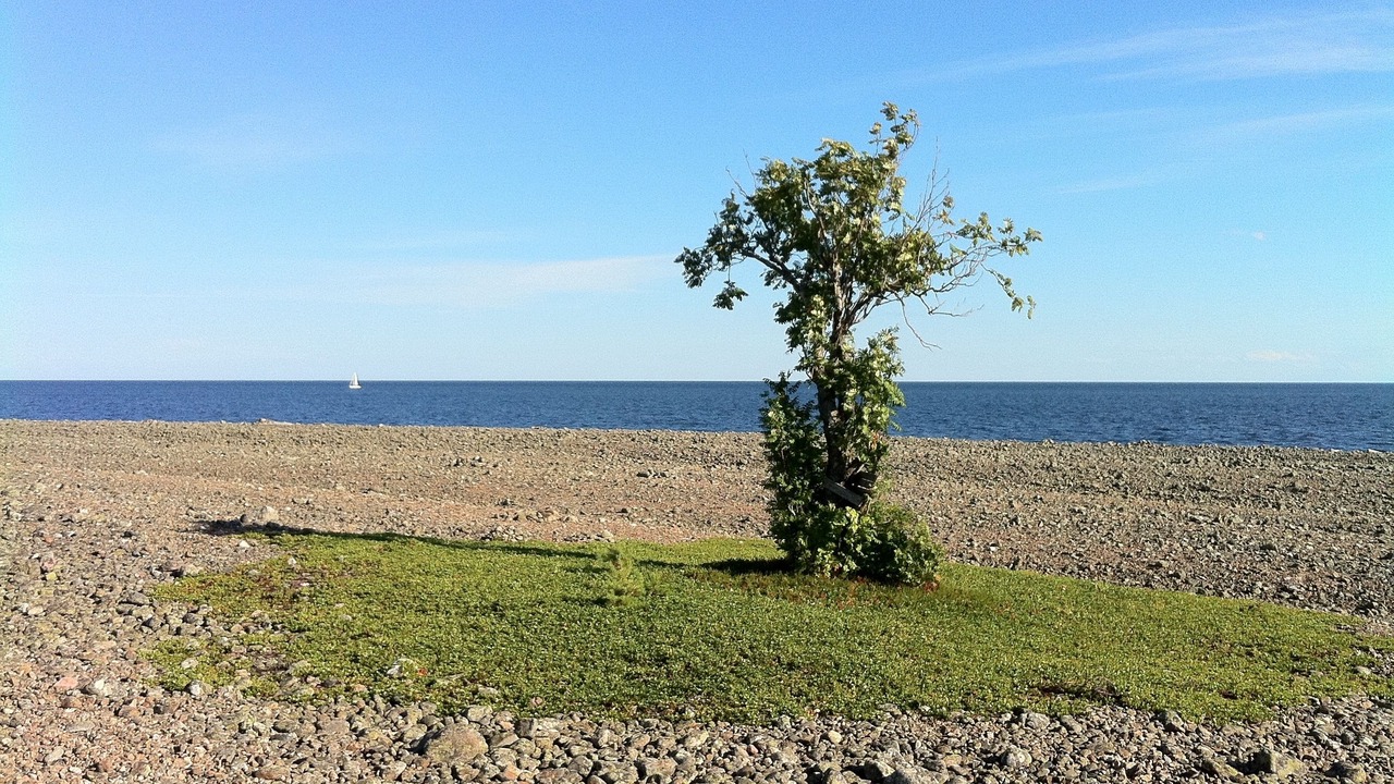 Photo of Others in Hudiksvall