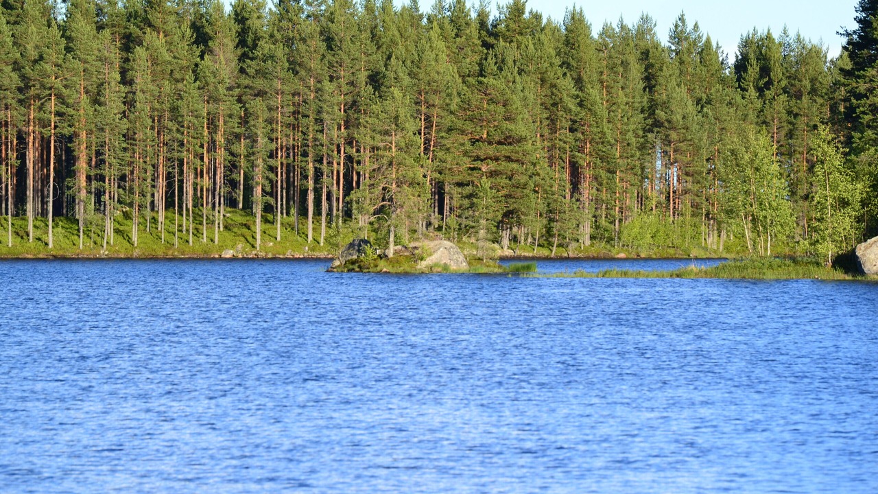 Photo of Outdoor in Hagfors