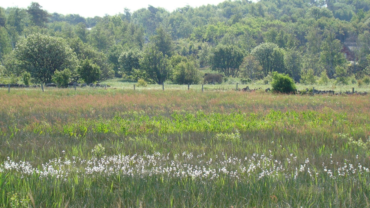 Photo of Outdoor in Falkenberg